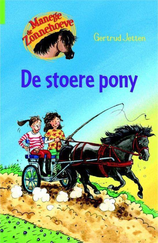 De Stoere Pony