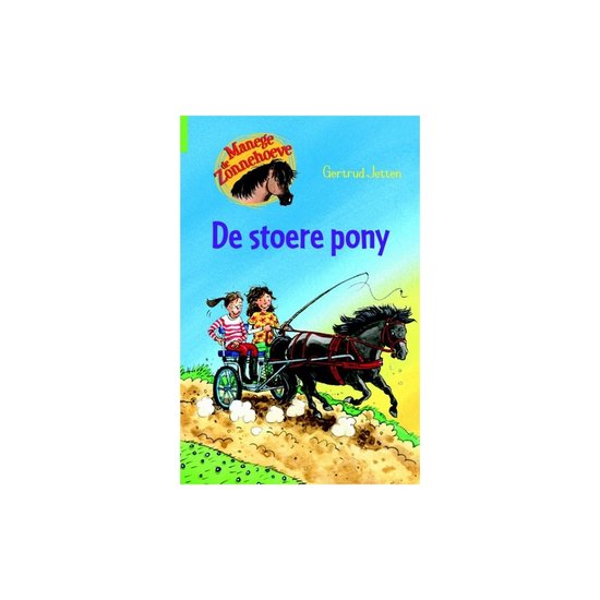 Manege de Zonnehoeve - De stoere pony