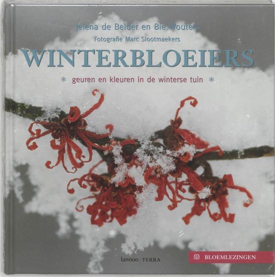 Winterbloeiers