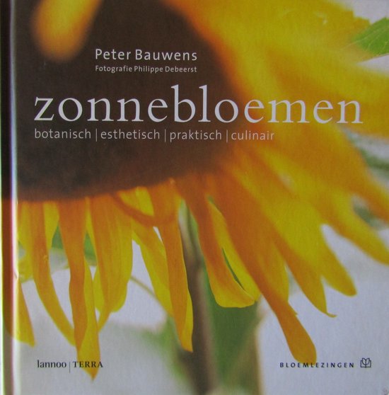 Zonnebloemen