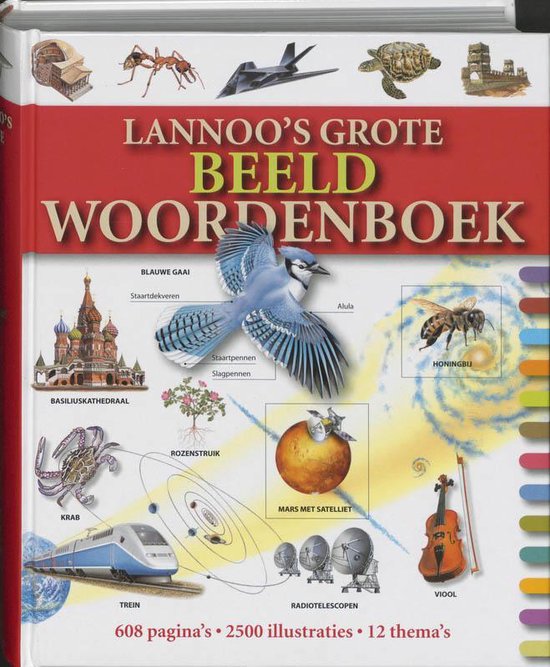 Lannoo S Grote Beeld Woordenboek