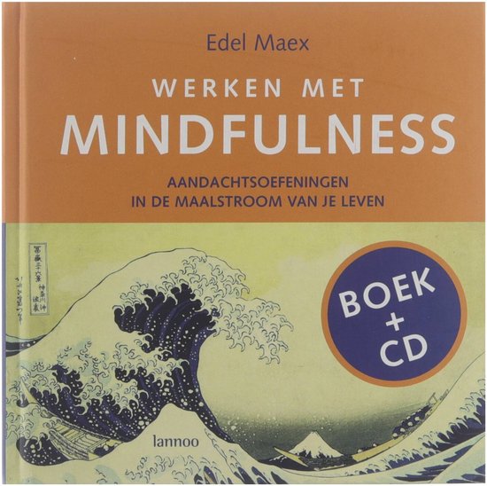 Werken met Mindfulness