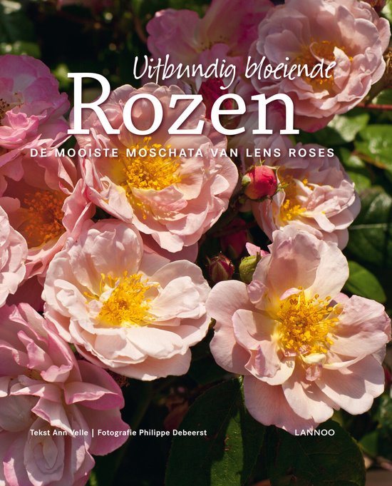 Rozen Natuurlijk