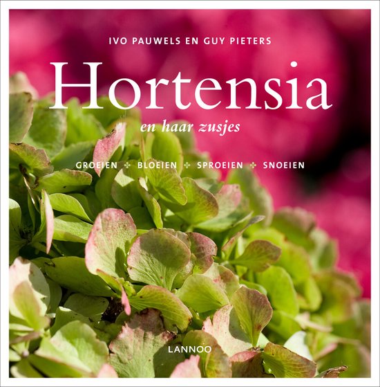 Hortensia en haar zusjes