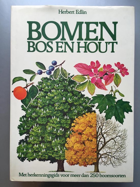 Bomen bos en hout