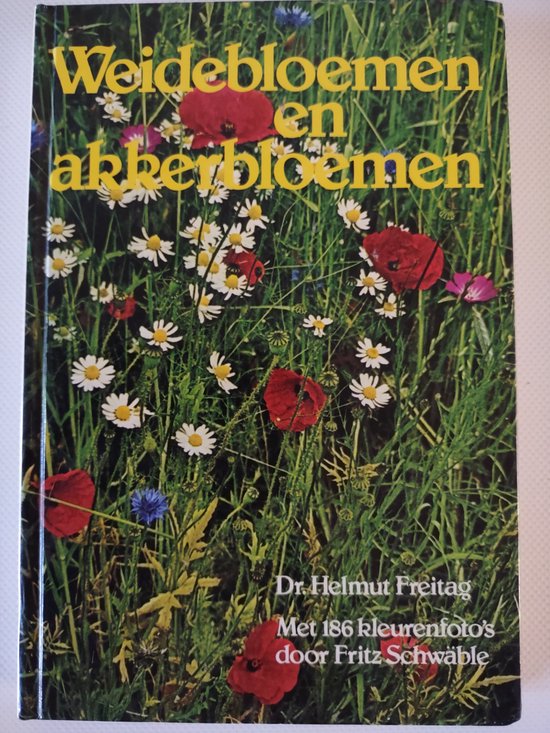 Weidebloemen en akkerbloemen