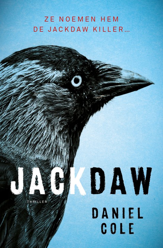 Jackdaw 1 - Jackdaw