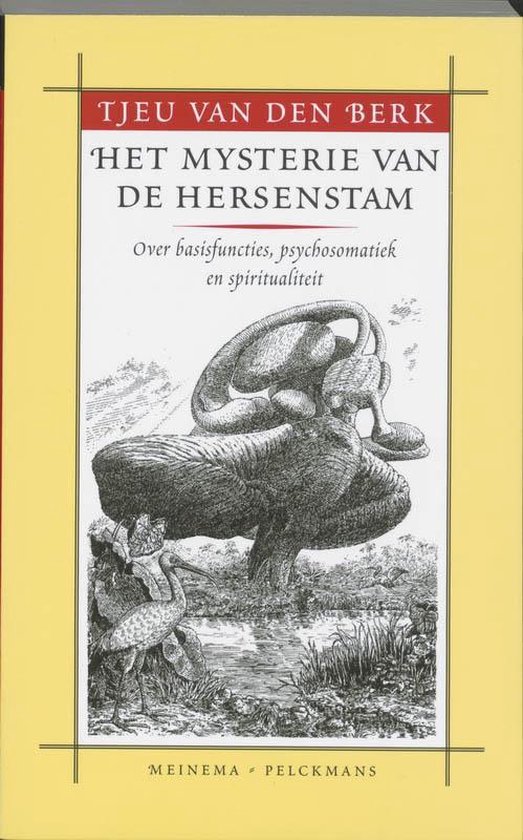 Het mysterie van de hersenstam