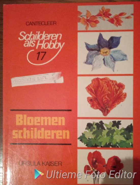 Bloemen schilderen