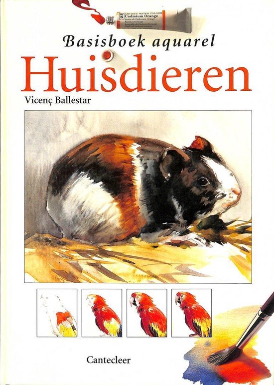 Basisboek Aquarel Huisdieren