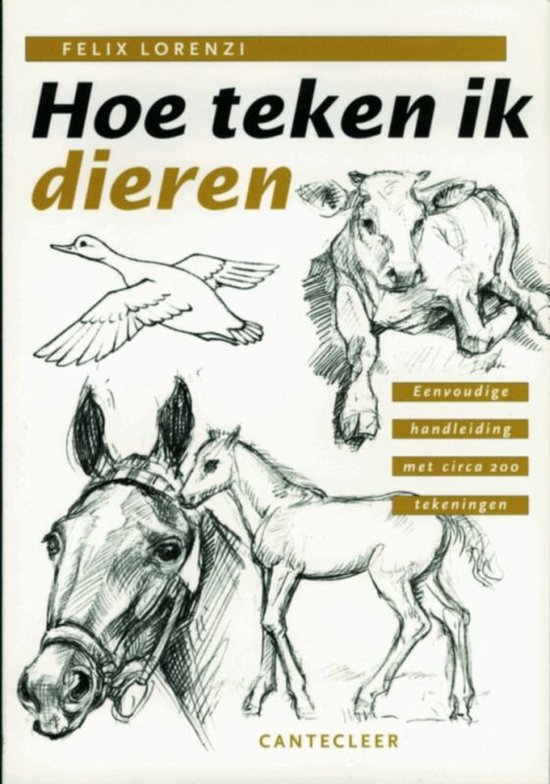 Hoe Teken Ik Dieren