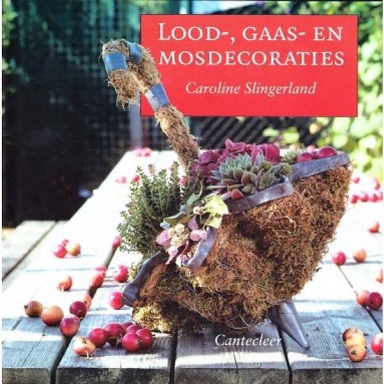 Lood Gaas En Mosdecoraties