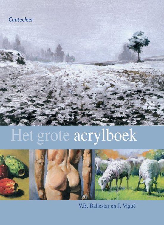 Het Grote Acrylboek