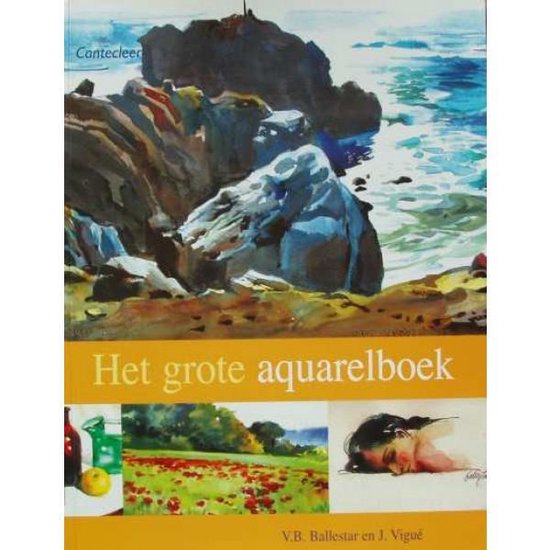 Grote Aquarelboek