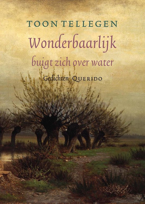 Wonderbaarlijk buigt zich over water