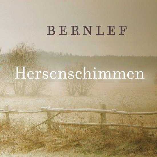 Hersenschimmen