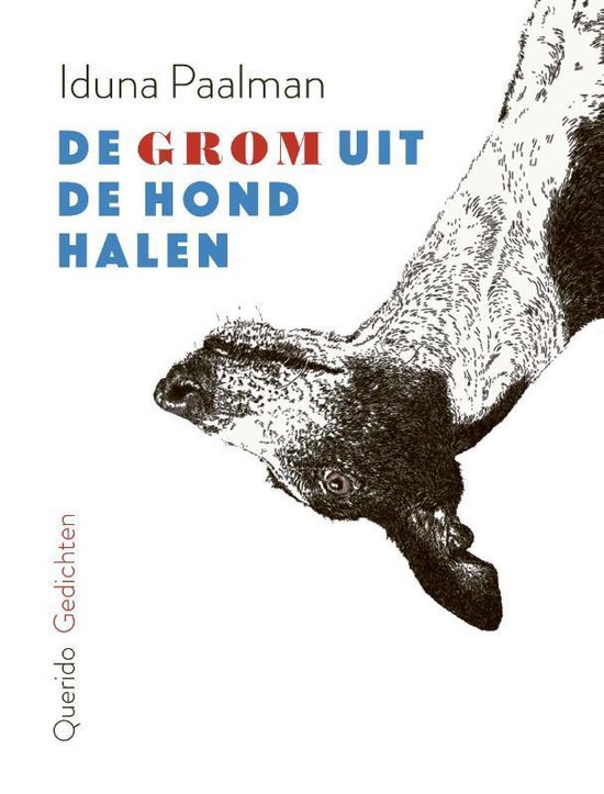 De grom uit de hond halen