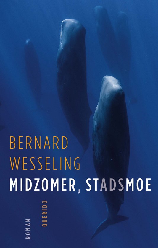 Midzomer, stadsmoe