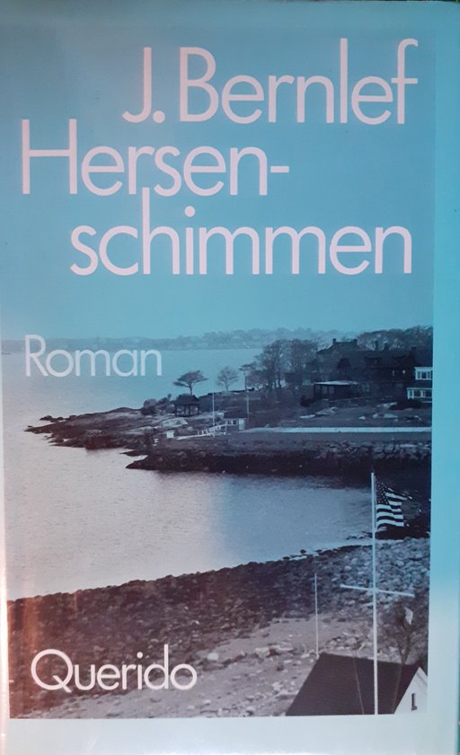 Hersenschimmen