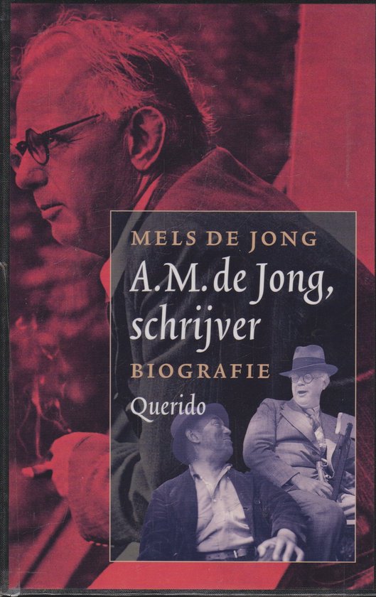 A.M. de Jong, schrijver