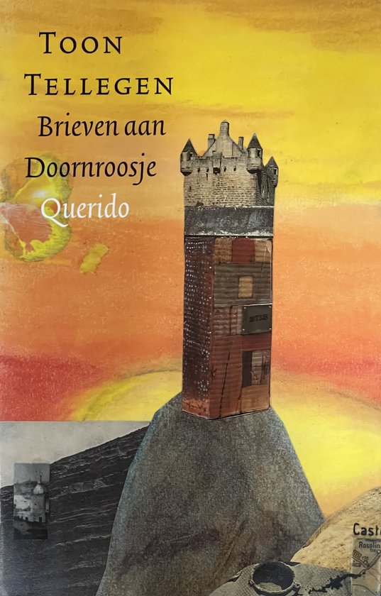 Brieven Aan Doornroosje