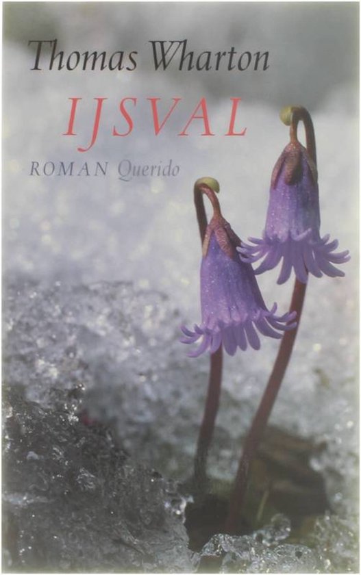 Ijsval