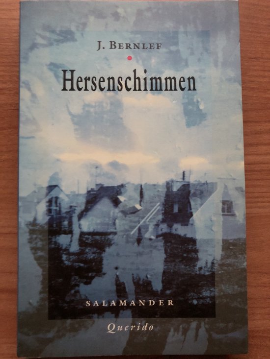 Hersenschimmen