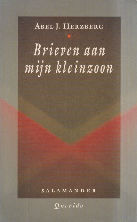 Brieven aan mijn kleinzoon