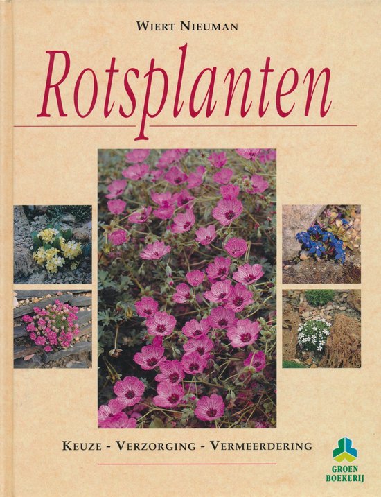 Rotsplanten