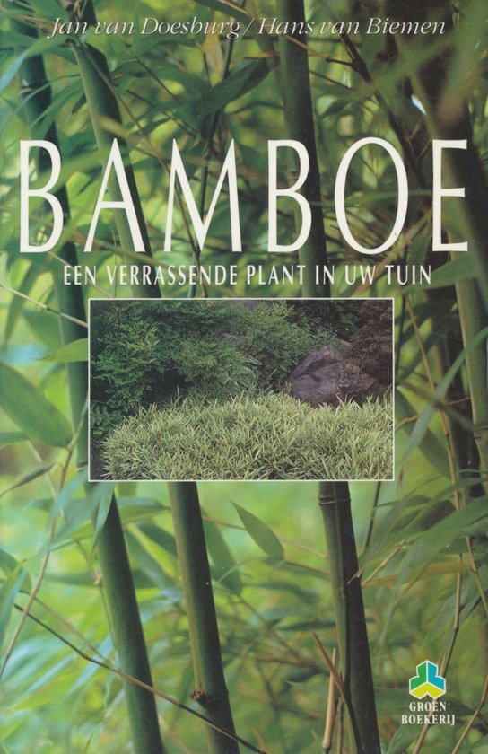 BAMBOE