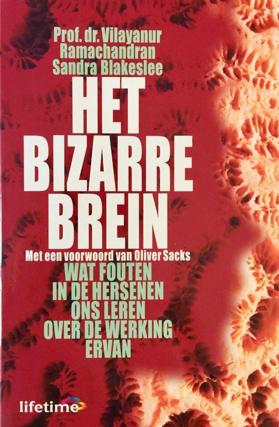 Bizarre Brein