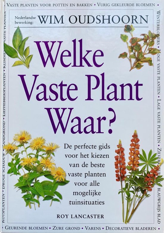 Welke Vaste Plant Waar