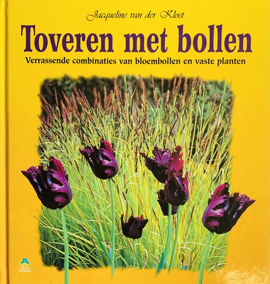 Toveren met bollen