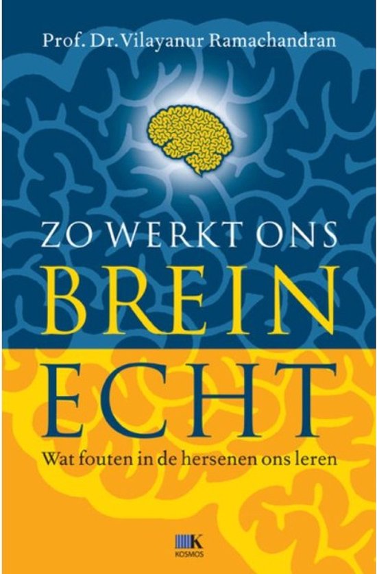 Zo Werkt Ons Brein  Echt