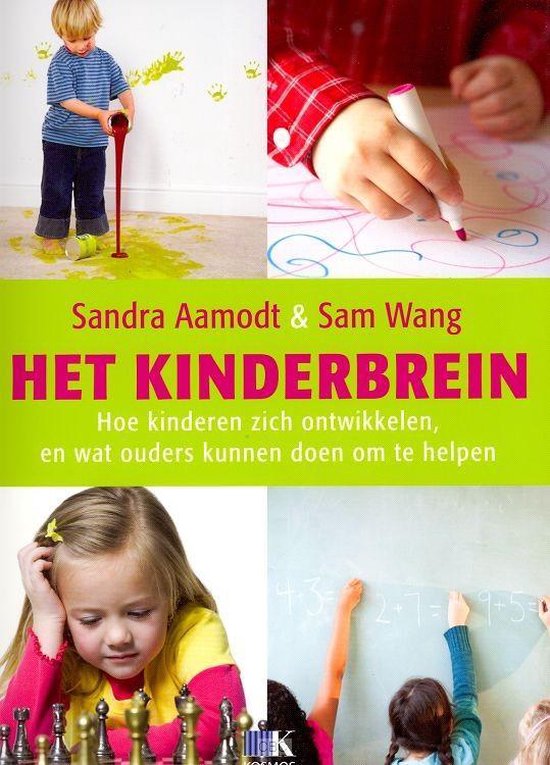 Het kinderbrein