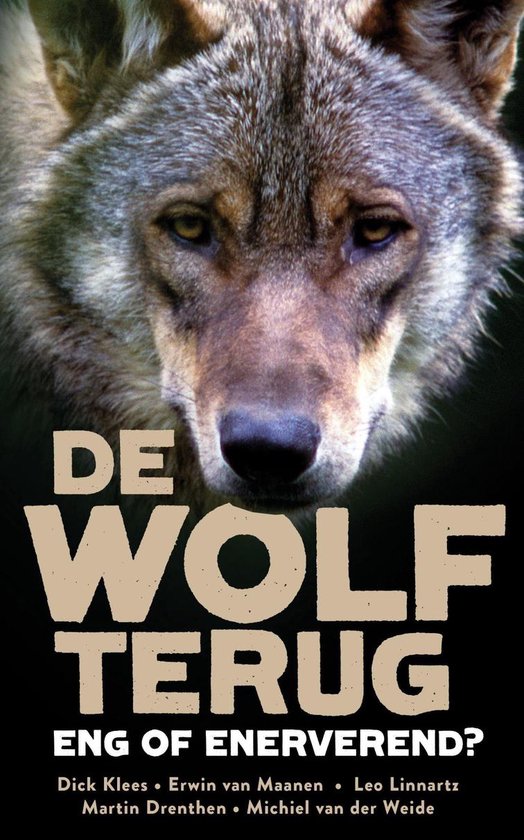 De wolf terug