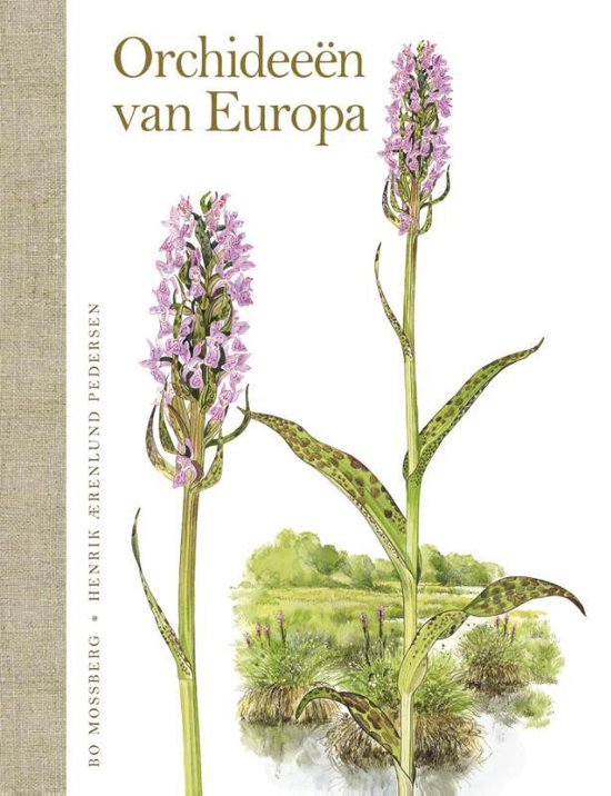 Orchideeën van Europa