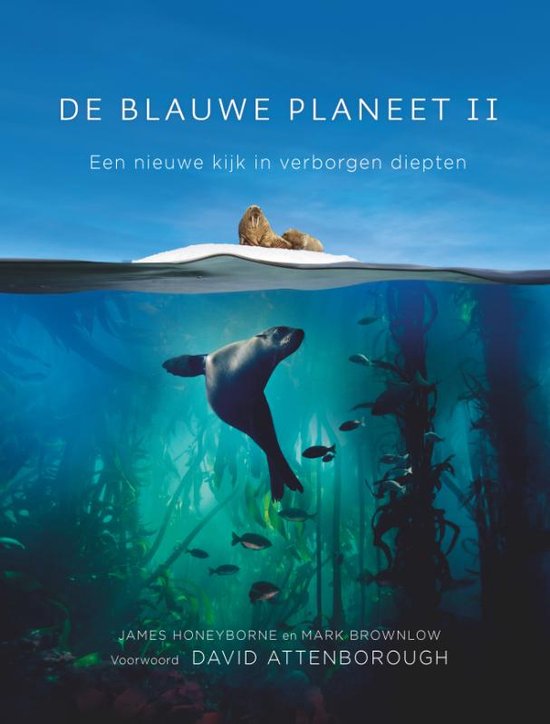 De blauwe planeet II