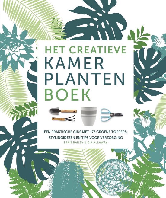 Het creatieve kamerplantenboek