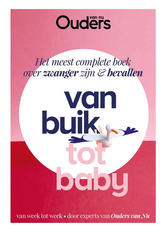 Van buik tot baby