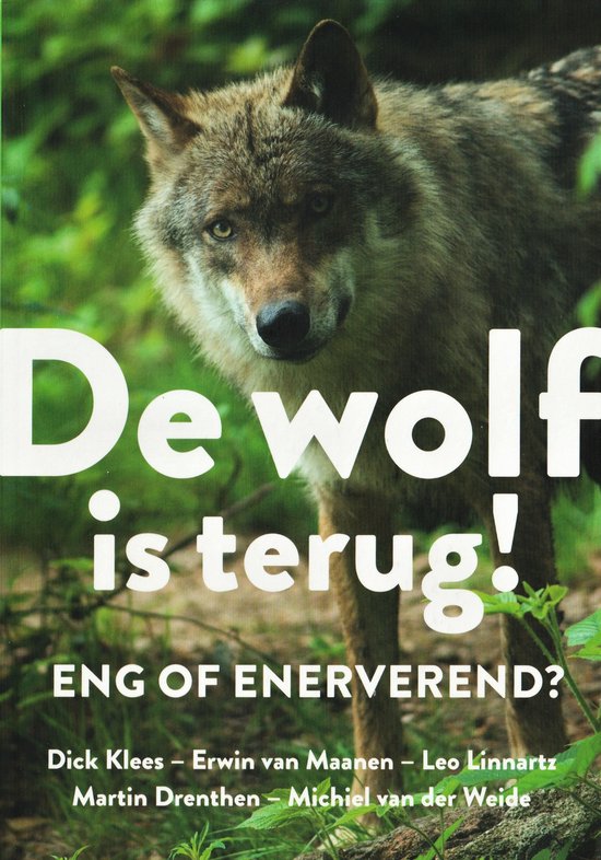 De wolf is terug