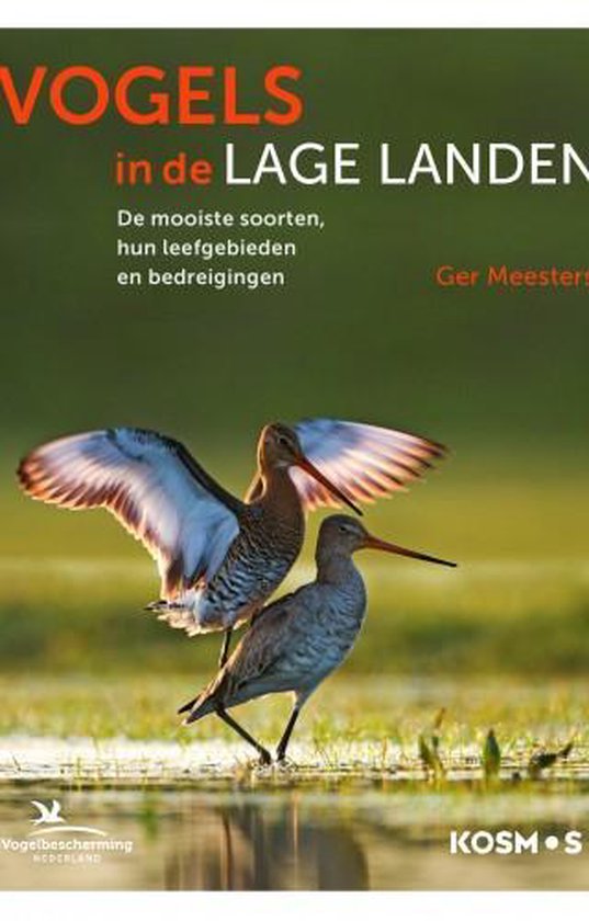 Vogels in de lage landen