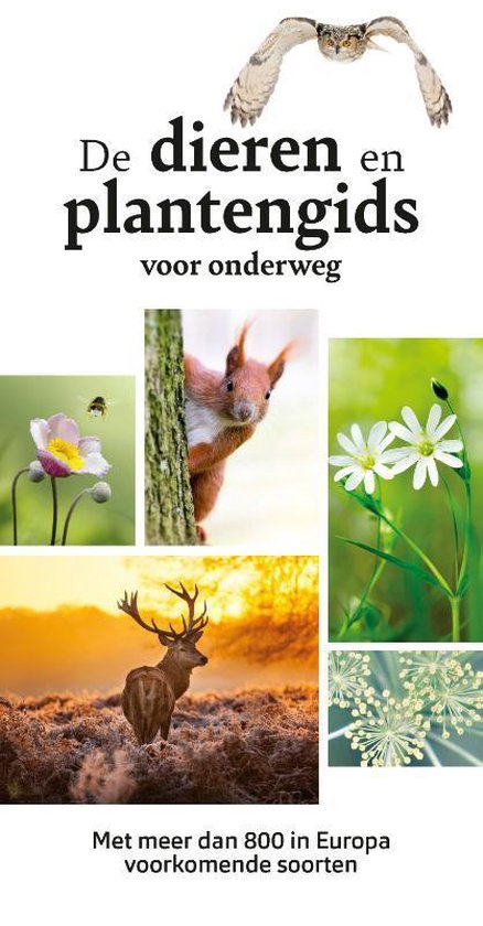 De dieren- en plantengids voor onderweg