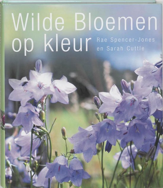 Wilde Bloemen Op Kleur