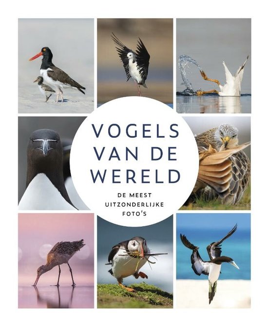 Vogels van de wereld