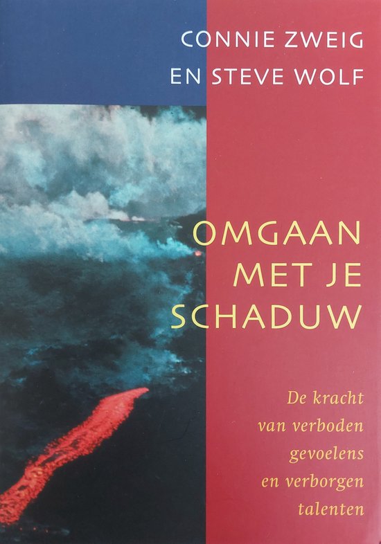 Omgaan met je schaduw