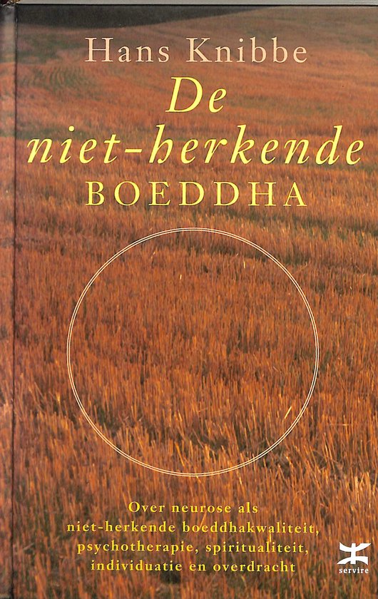 Niet Herkende Boeddha