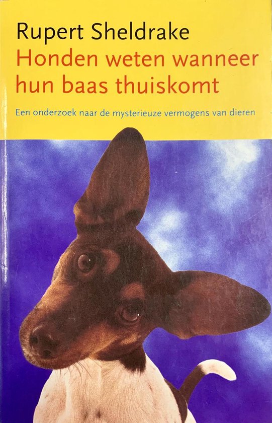 Honden Weten Wanneer Hun Baas Thuiskomt