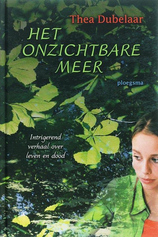 Het onzichtbare meer