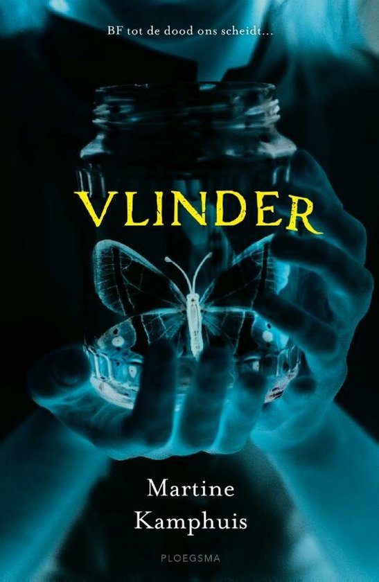 Vlinder